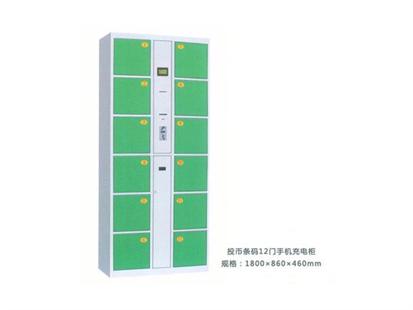 12門存包柜綠